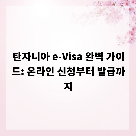 탄자니아 e-Visa 완벽 가이드: 온라인 신청부터 발급까지