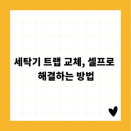 세탁기 트랩 교체, 셀프로 해결하는 방법