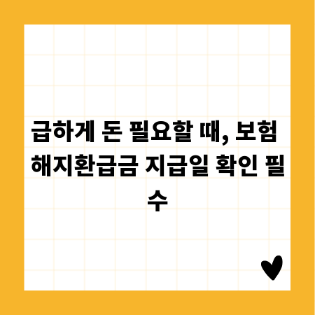 새로운 시작, 엘로치오 디 그니티 구매 결정 가이드