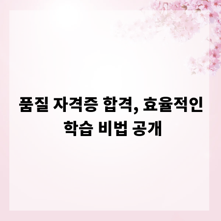 품질 자격증 합격, 효율적인 학습 비법 공개