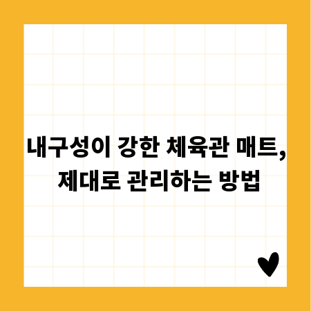 내구성이 강한 체육관 매트, 제대로 관리하는 방법