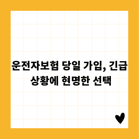 운전자보험 당일 가입, 긴급 상황에 현명한 선택