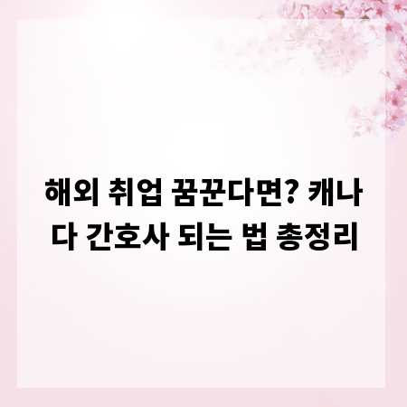해외 취업 꿈꾼다면? 캐나다 간호사 되는 법 총정리