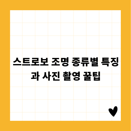 스트로보 조명 종류별 특징과 사진 촬영 꿀팁