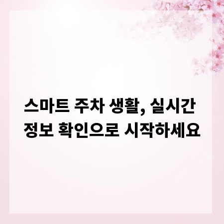 스마트 주차 생활, 실시간 정보 확인으로 시작하세요