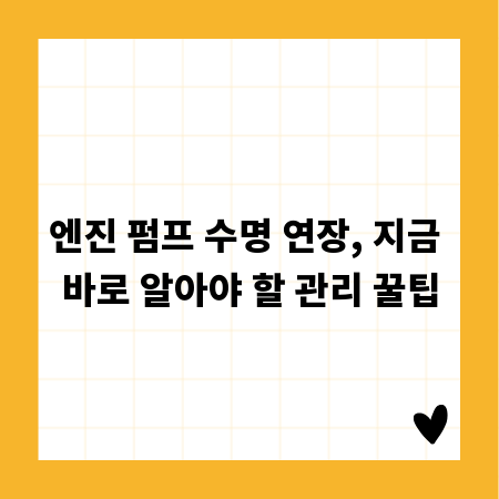 엔진 펌프 수명 연장, 지금 바로 알아야 할 관리 꿀팁