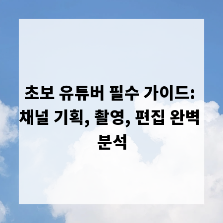 초보 유튜버 필수 가이드: 채널 기획, 촬영, 편집 완벽 분석
