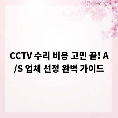 CCTV 수리 비용 고민 끝! A/S 업체 선정 완벽 가이드