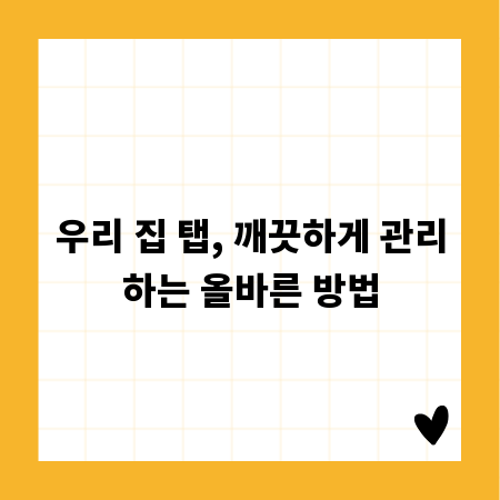 우리 집 탭, 깨끗하게 관리하는 올바른 방법
