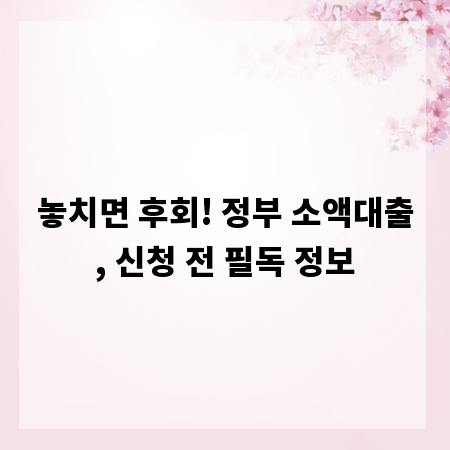 놓치면 후회! 정부 소액대출, 신청 전 필독 정보