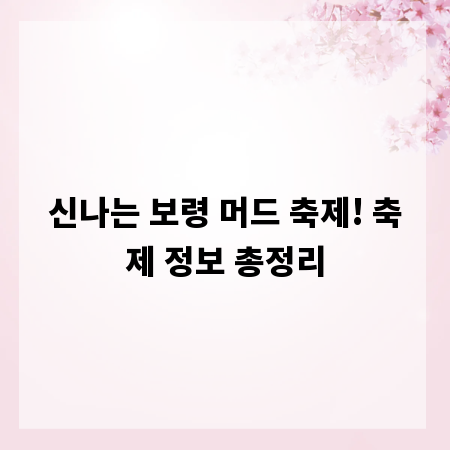 신나는 보령 머드 축제! 축제 정보 총정리