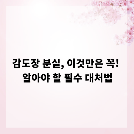 감도장 분실, 이것만은 꼭! 알아야 할 필수 대처법