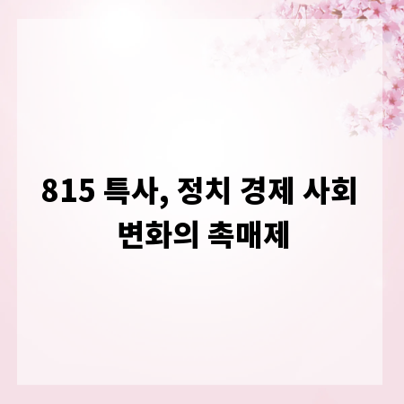 815 특사, 정치 경제 사회 변화의 촉매제