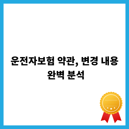 운전자보험 약관, 변경 내용 완벽 분석