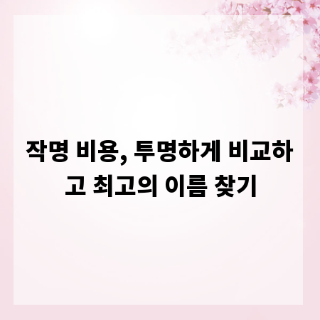 작명 비용, 투명하게 비교하고 최고의 이름 찾기