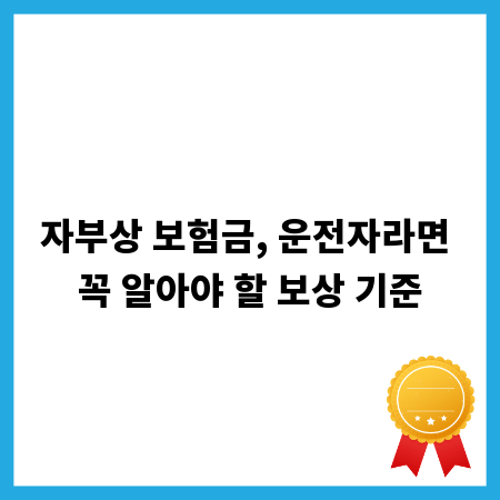 자부상 보험금, 운전자라면 꼭 알아야 할 보상 기준