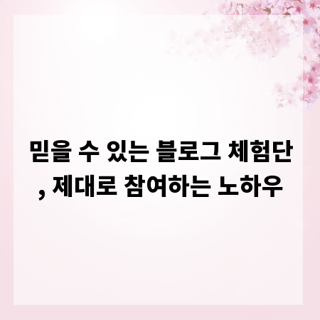 믿을 수 있는 블로그 체험단, 제대로 참여하는 노하우