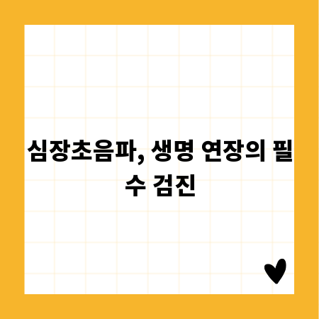 심장초음파, 생명 연장의 필수 검진