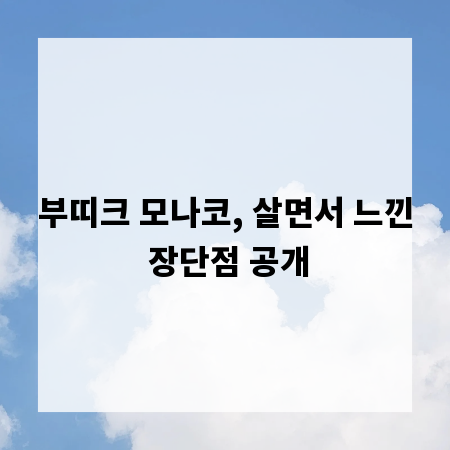 부띠크 모나코, 살면서 느낀 장단점 공개
