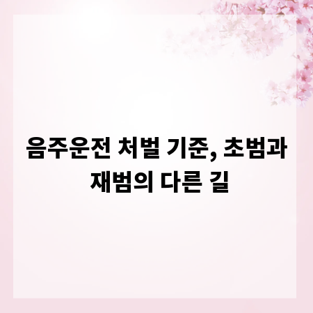 음주운전 처벌 기준, 초범과 재범의 다른 길