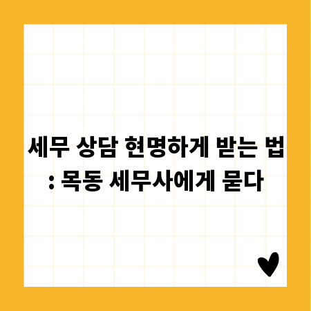 세무 상담 현명하게 받는 법: 목동 세무사에게 묻다