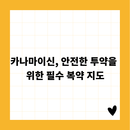 카나마이신, 안전한 투약을 위한 필수 복약 지도