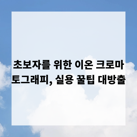 초보자를 위한 이온 크로마토그래피, 실용 꿀팁 대방출