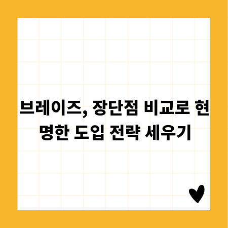 브레이즈, 장단점 비교로 현명한 도입 전략 세우기