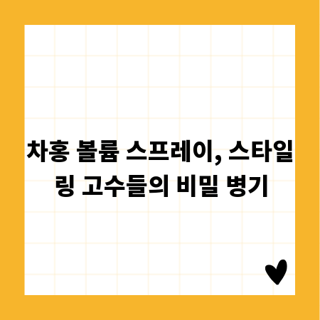 차홍 볼륨 스프레이, 스타일링 고수들의 비밀 병기