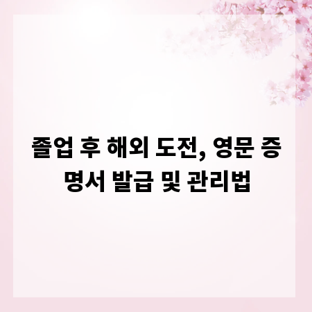 졸업 후 해외 도전, 영문 증명서 발급 및 관리법